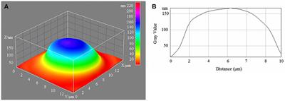 Physical and Chemical Processes and the Morphofunctional Characteristics of Human Erythrocytes in Hyperglycaemia